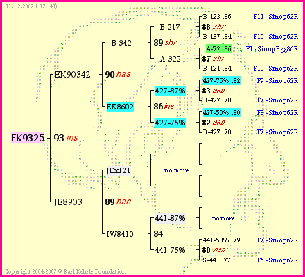 Pedigree of EK9325 :
four generations presented