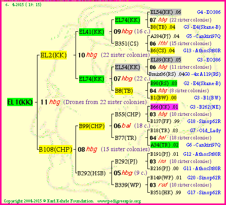 Pedigree of EL1(KK) :
four generations presented