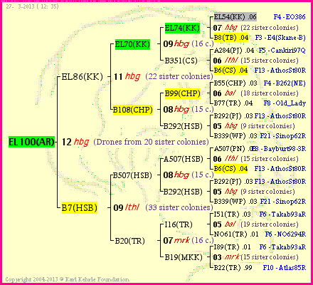 Pedigree of EL100(AR) :
four generations presented