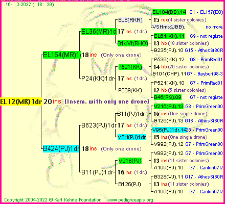 Pedigree of EL12(MR)1dr :
four generations presented
it's temporarily unavailable, sorry!