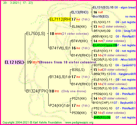 Pedigree of EL121(SL) :
four generations presented
it's temporarily unavailable, sorry!