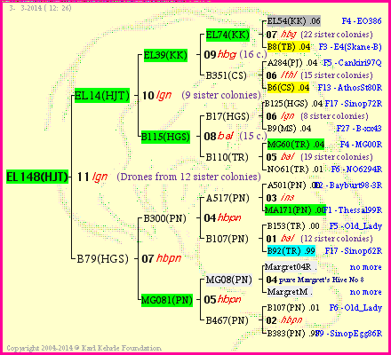 Pedigree of EL148(HJT) :
four generations presented
it's temporarily unavailable, sorry!