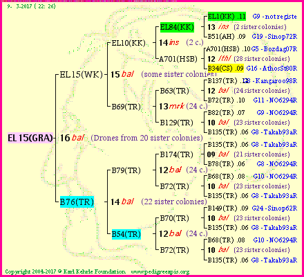 Pedigree of EL15(GRA) :
four generations presented<br />it's temporarily unavailable, sorry!