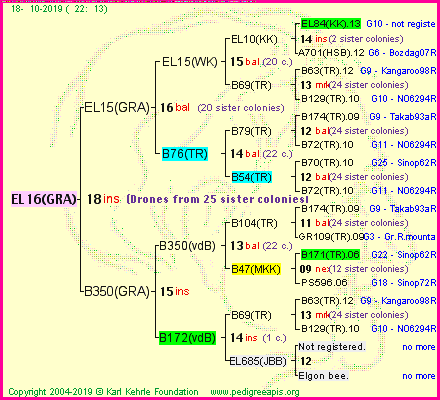 Pedigree of EL16(GRA) :
four generations presented
it's temporarily unavailable, sorry!