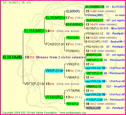 Pedigree of EL161(MR) :
four generations presented
it's temporarily unavailable, sorry!