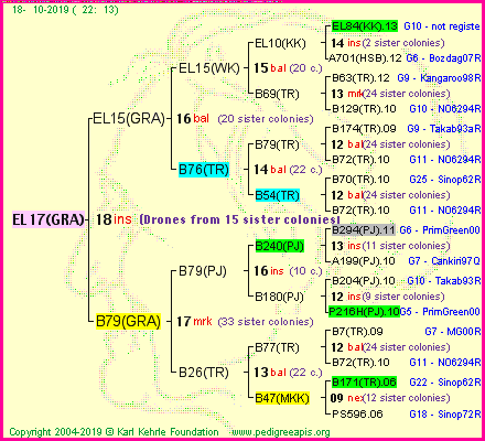 Pedigree of EL17(GRA) :
four generations presented
it's temporarily unavailable, sorry!