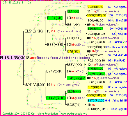 Pedigree of EL18.1.53(KK) :
four generations presented
it's temporarily unavailable, sorry!