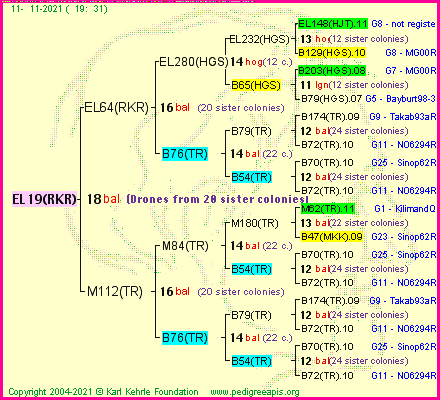 Pedigree of EL19(RKR) :
four generations presented
it's temporarily unavailable, sorry!