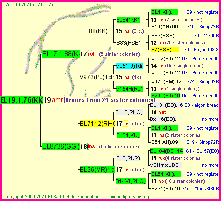 Pedigree of EL19.1.76(KK) :
four generations presented
it's temporarily unavailable, sorry!