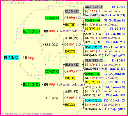 Pedigree of EL2(KK) :
four generations presented