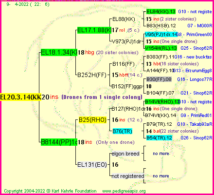 Pedigree of EL20.3.14(KK) :
four generations presented
it's temporarily unavailable, sorry!