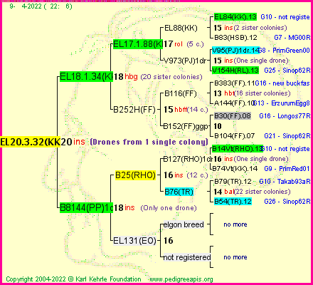 Pedigree of EL20.3.32(KK) :
four generations presented
it's temporarily unavailable, sorry!