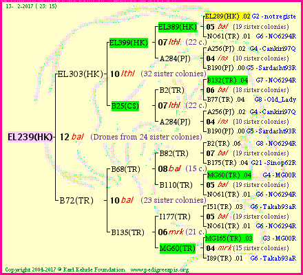 Pedigree of EL239(HK) :
four generations presented