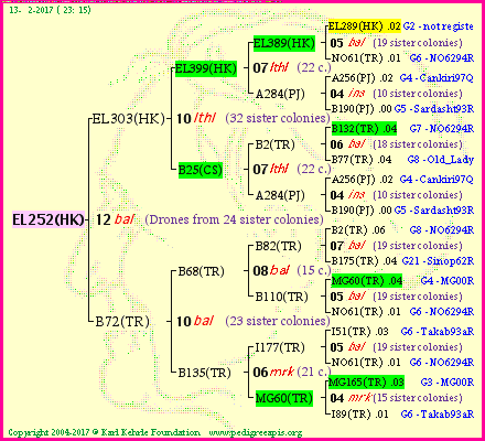 Pedigree of EL252(HK) :
four generations presented