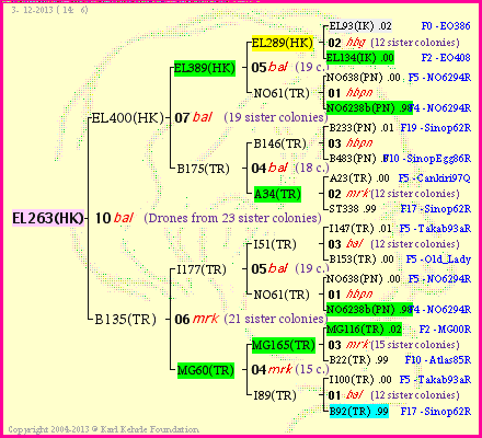 Pedigree of EL263(HK) :
four generations presented