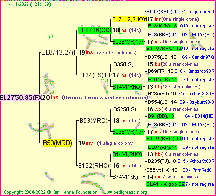 Pedigree of EL2750.85(FXR) :
four generations presented
it's temporarily unavailable, sorry!