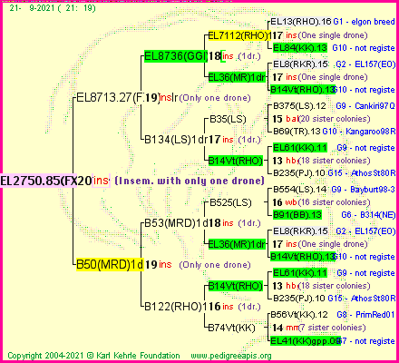 Pedigree of EL2750.85(FXR)1dr :
four generations presented
it's temporarily unavailable, sorry!