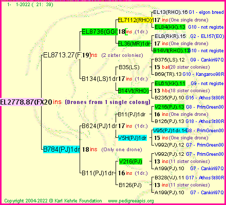 Pedigree of EL2778.87(FXR) :
four generations presented
it's temporarily unavailable, sorry!