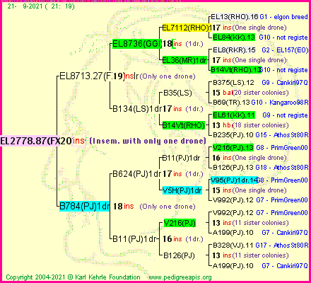 Pedigree of EL2778.87(FXR)1dr :
four generations presented
it's temporarily unavailable, sorry!