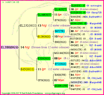 Pedigree of EL280(HGS) :
four generations presented<br />it's temporarily unavailable, sorry!