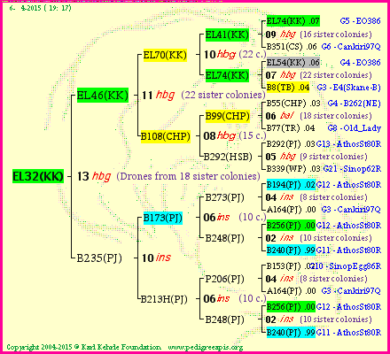 Pedigree of EL32(KK) :
four generations presented