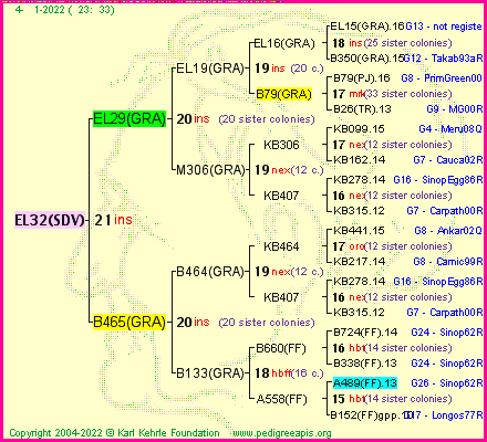 Pedigree of EL32(SDV) :
four generations presented
it's temporarily unavailable, sorry!