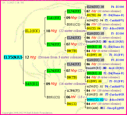 Pedigree of EL35(NJU) :
four generations presented