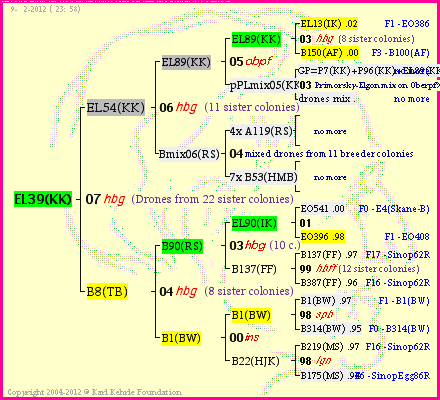 Pedigree of EL39(KK) :
four generations presented