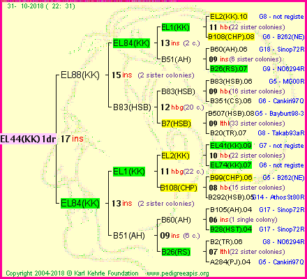 Pedigree of EL44(KK)1dr :
four generations presented
it's temporarily unavailable, sorry!