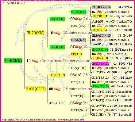 Pedigree of EL46(KK) :
four generations presented