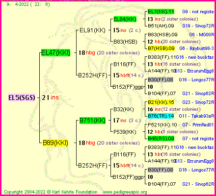 Pedigree of EL5(SGS) :
four generations presented
it's temporarily unavailable, sorry!