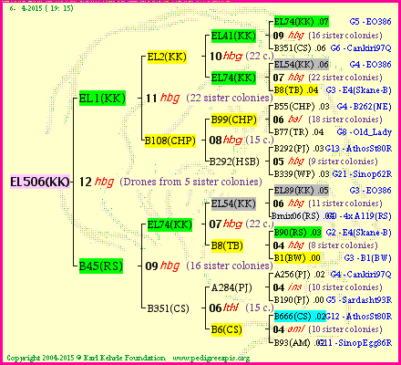 Pedigree of EL506(KK) :
four generations presented