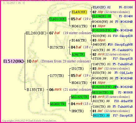 Pedigree of EL512(HK) :
four generations presented