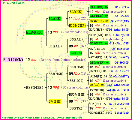 Pedigree of EL512(KK) :
four generations presented<br />it's temporarily unavailable, sorry!