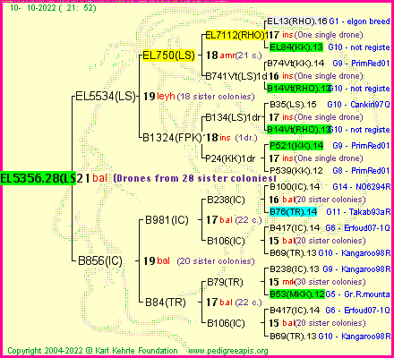 Pedigree of EL5356.28(LS) :
four generations presented
it's temporarily unavailable, sorry!