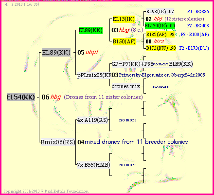 Pedigree of EL54(KK) :
four generations presented