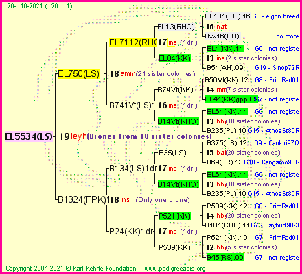 Pedigree of EL5534(LS) :
four generations presented
it's temporarily unavailable, sorry!