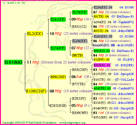 Pedigree of EL61(KK) :
four generations presented