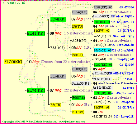 Pedigree of EL70(KK) :
four generations presented