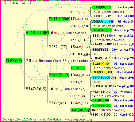 Pedigree of EL83(FE) :
four generations presented
it's temporarily unavailable, sorry!