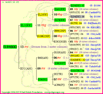 Pedigree of EL84(KK) :
four generations presented
it's temporarily unavailable, sorry!