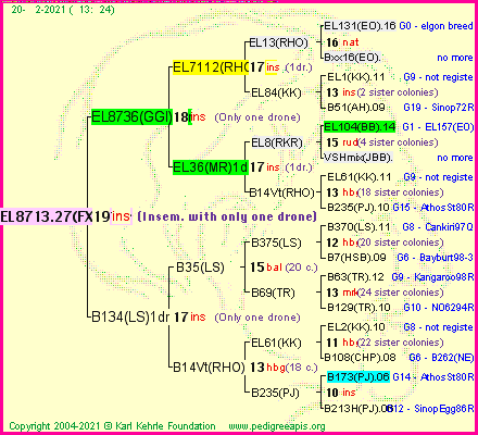 Pedigree of EL8713.27(FXR)1dr :
four generations presented
it's temporarily unavailable, sorry!