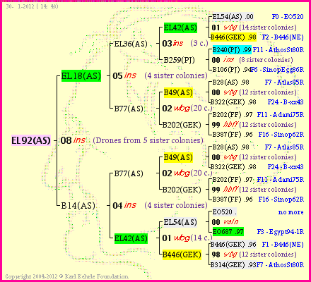 Pedigree of EL92(AS) :
four generations presented