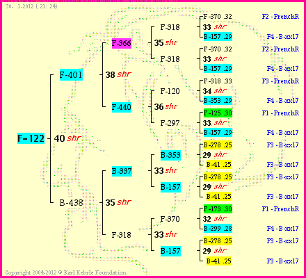 Pedigree of F-122 :
four generations presented