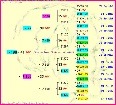 Pedigree of F-198 :
four generations presented