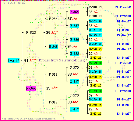 Pedigree of F-217 :
four generations presented