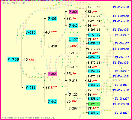 Pedigree of F-228 :
four generations presented