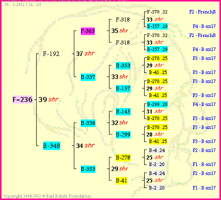 Pedigree of F-236 :
four generations presented