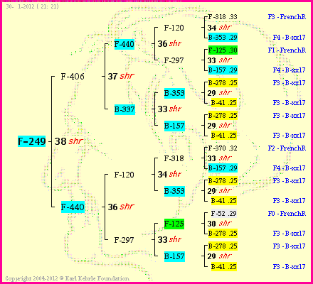 Pedigree of F-249 :
four generations presented