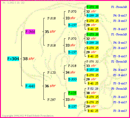 Pedigree of F-304 :
four generations presented